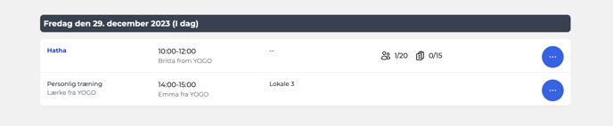 Skærmbillede 2023-12-29 kl- 11-21-29-png